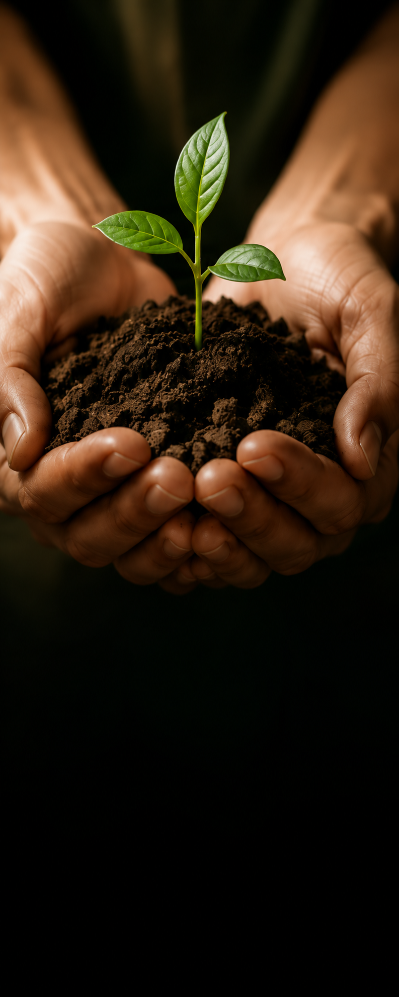 Sustainable & Ethical