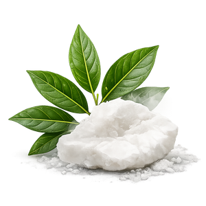 Camphor